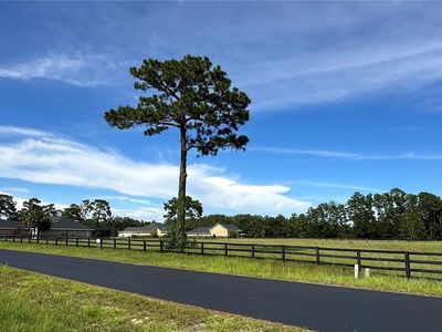 TBD NE 61ST AVENUE ROAD ROAD LOT 30, Silver Springs, FL, 34488