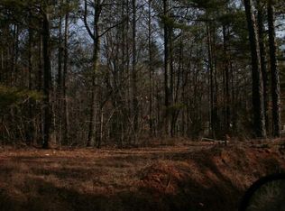 445 Old Jones Rd, Whitesburg, GA 30185