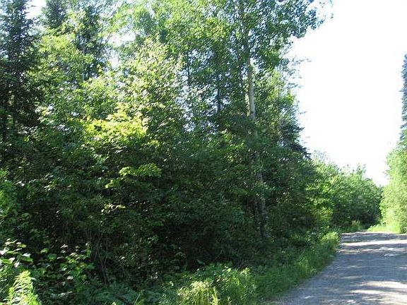 5th image of 11A Young Lane