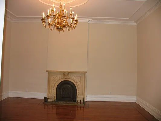 Rented by Rapid Realty Cobble Hill | media 43