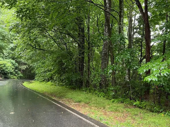 Lot 40 Narrows Road, Sapphire, NC 28774