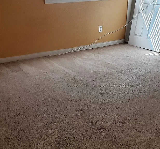 29020 Mesa Crest Way — Photo 11