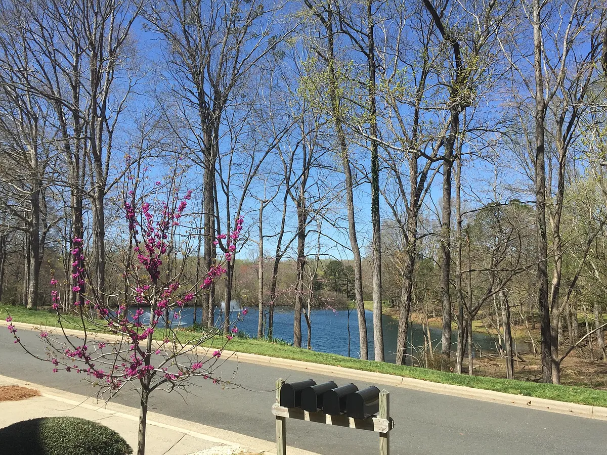 Water view from front deck - 9004 Saint Pierre Ln