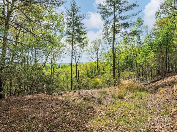 56 Winterberry Dr, Hendersonville, NC 28739