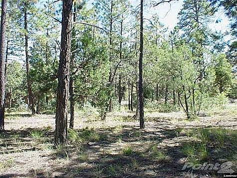2nd image of 5040 Panorama Ct