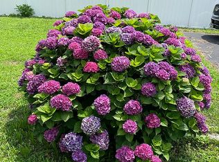 705 Old Farm Rd, Point Pleasant Beach, NJ 08742