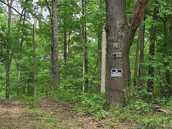 26th image of 31025 Broken Circle Rd