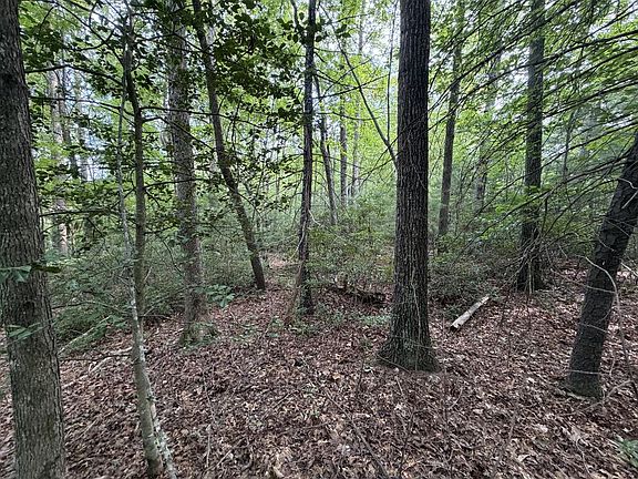 4th image of 0 Deer Creek Run