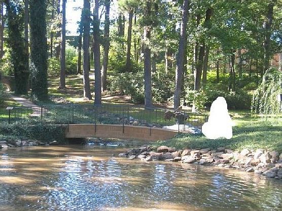Beautiful park