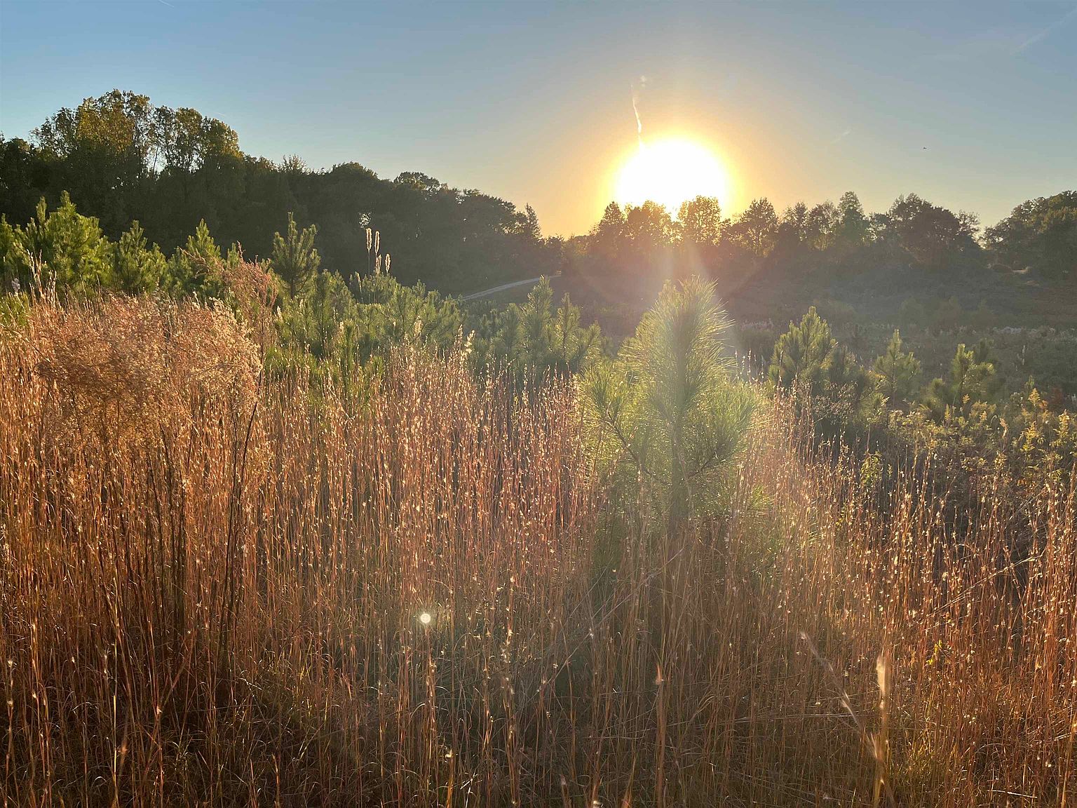 LOT Quito Drummonds Rd, Millington, TN 38053 Zillow