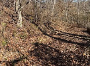 0 E Rambling Creek Dr #11, Tryon, NC 28782