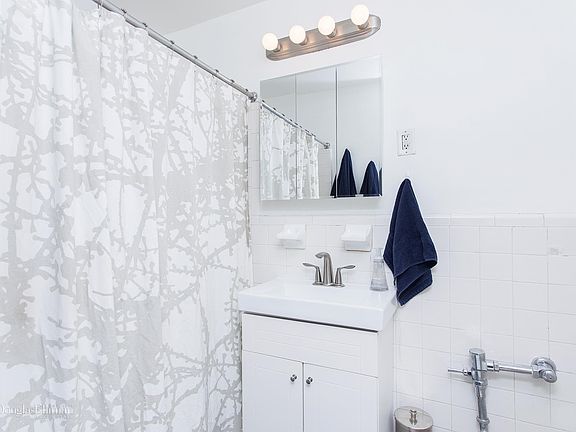 5th image of 400 E 17th St APT 508