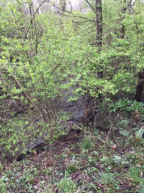 1st image of 2856 Old Camden Pike