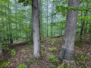 LOT 1 Shortline Hwy, Porters Falls, WV