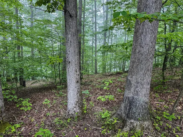 LOT 1 Shortline Hwy, Porters Falls, WV 26162