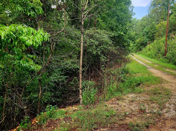 0 Cedar Ln #42, Spring City, TN 37381