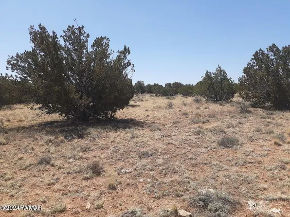 1780 Buffington Hill Rd, Heber, AZ 85928