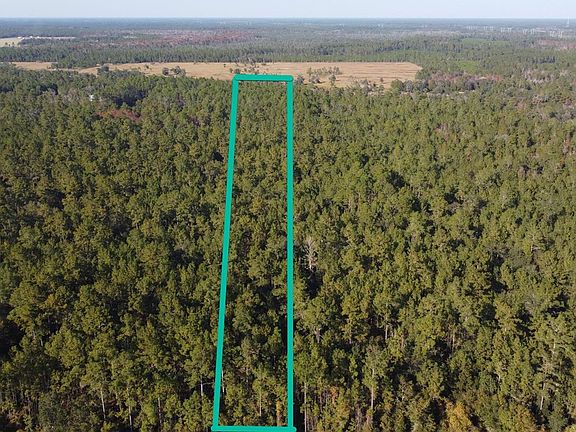 5th image of 4619 STATE HWY 100 W