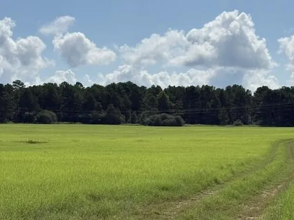 0 An County Rd #1231, Palestine, TX 75801