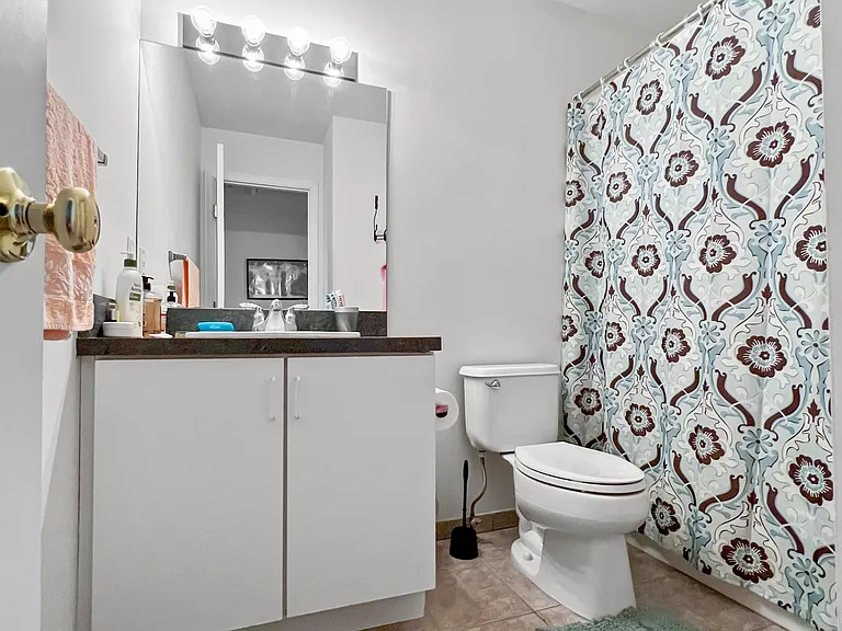61 N River Dr — Photo 14