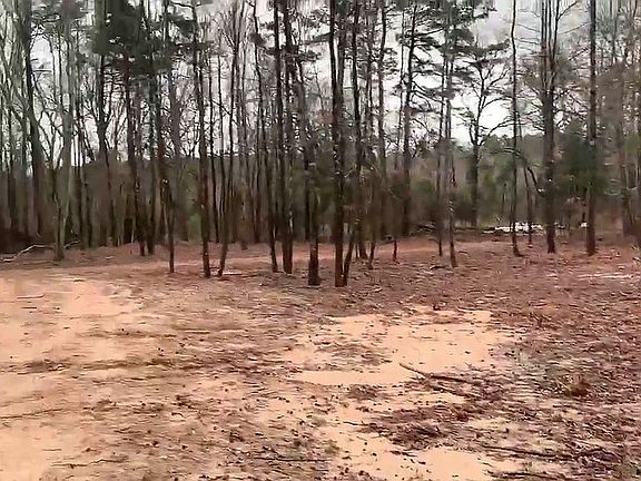 2nd image of 31 County Road 3778