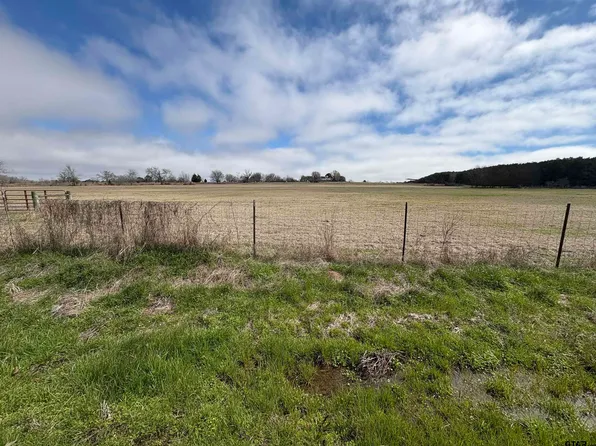3029 County Road 4905, Troup, TX 75789