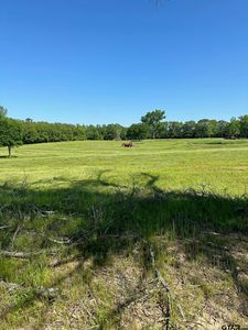 County Road 4830, Winnsboro, TX, 75494