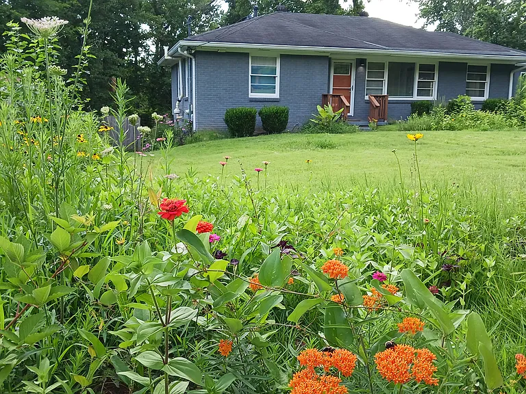 The property is pollinator friendly