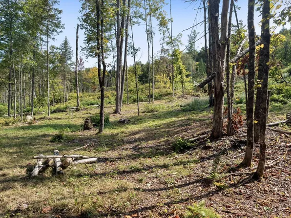 219 Weber Brook Lane #1, Craftsbury, VT 05826