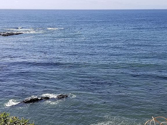 3rd image of 140 Fishing Rock Dr