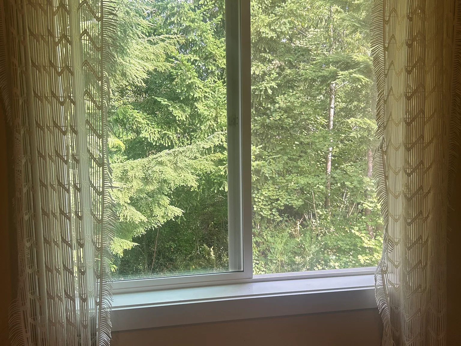 241st Ln NE, Redmond — Photo 4