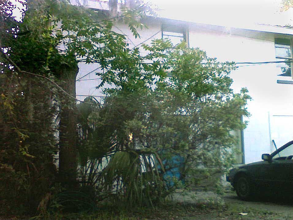 Duplex