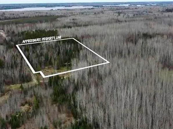 PARCEL 19 Highway 115, Tower, MN 55790