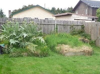 2nd image of 3323 G St