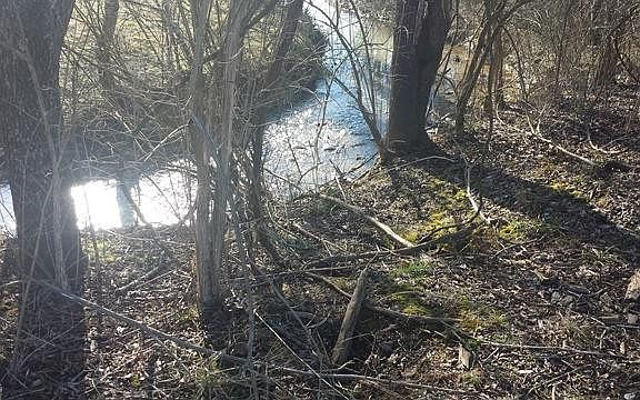 2nd image of 2 Deerland Tct Dr
