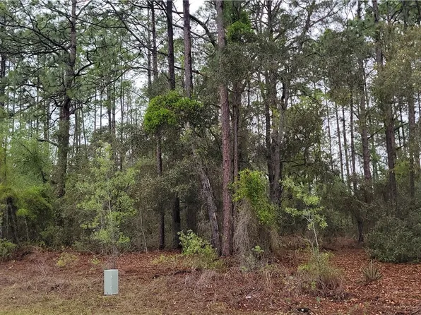 2851 W Higgins Pl, Citrus Springs, FL 34433