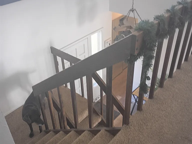 7748 W Ken Caryl Pl — Photo 17