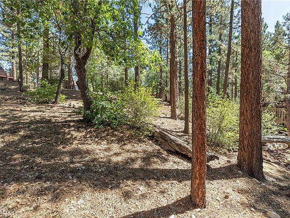 2nd image of LOT 44 Kern