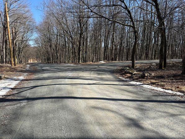 Skyview Lakes Mountain Drive & Oakwood Drive Cor, Greentown, PA 18426
