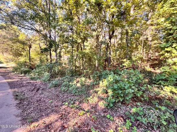 0 Snow Lake Dr Lot 378, Ashland, MS 38603