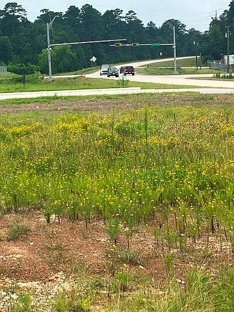 2nd image of 11900 Seven Coves Rd #Fm-830