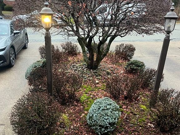 2nd image of 590 Woodmere Dr APT 8