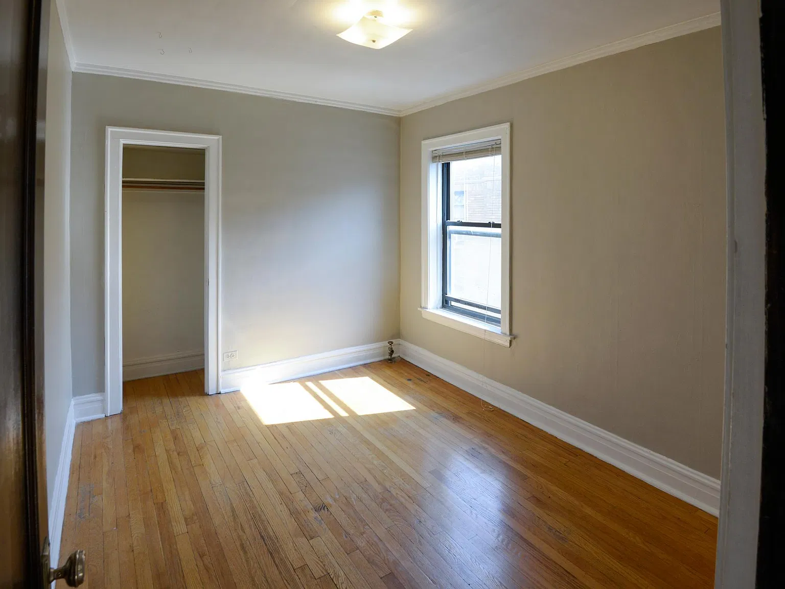 1 bed, 650 sqft, $1,550 — Photo 3