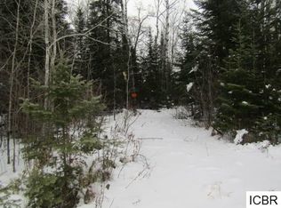 51282 Town Hall Rd, Max, MN 56659