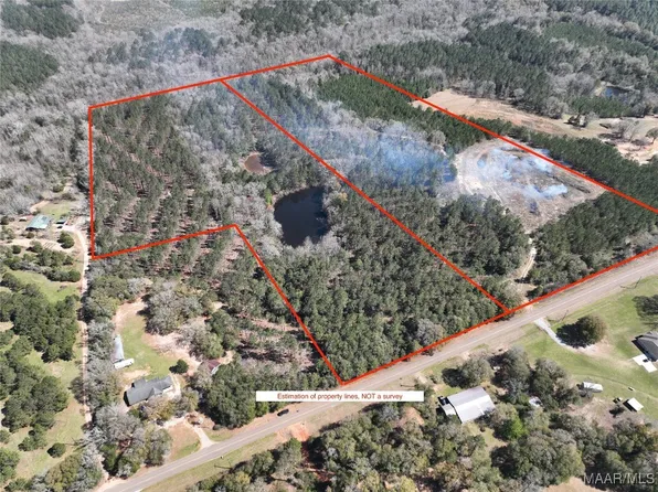 0 County Road 69 Hwy, Skipperville, AL 36374