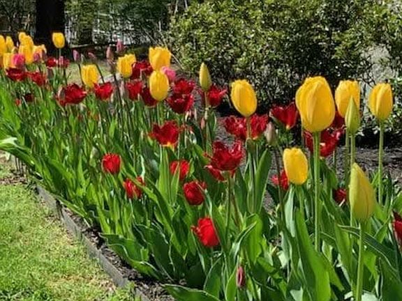 2nd image of 58 Rixtown Road