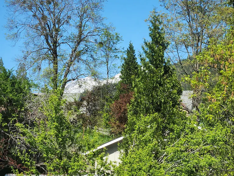 5933 Shasta Ave #A — Photo 21