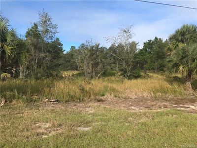 11360 S Florida Ave, Floral City, FL, 34436