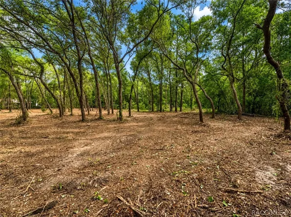 6119 W Homosassa Trl, Homosassa, FL 34448