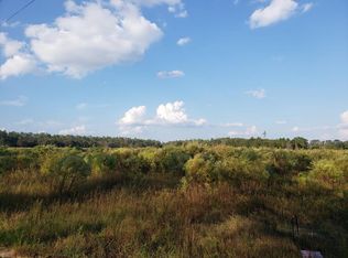 292 Woodpecker Way, Alma, GA 31510